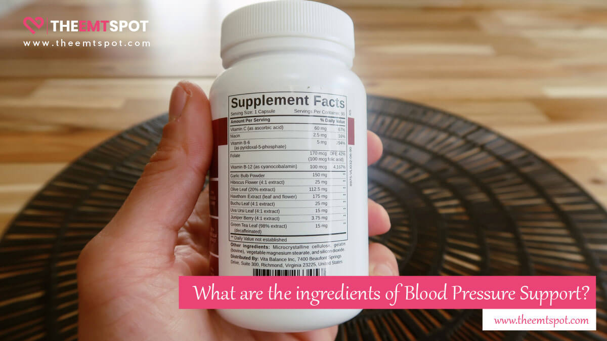 blood pressure support ingredients