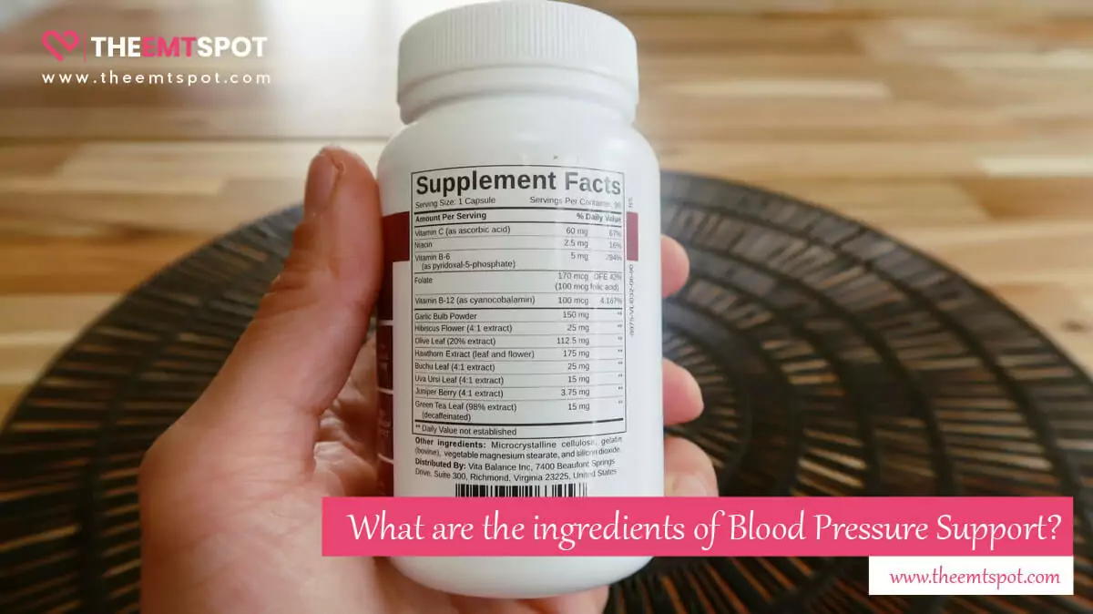 blood pressure support ingredients